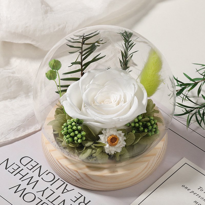 Charming Preserved Rose in Glass Dome Eternal Preserved Flowers Gift Box for Christmas Graduation Decorations