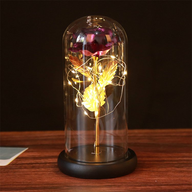 Artificial Rose Romantic Gift Preserved Flowers with Light in Glass Dome for Her Birthday Wedding Valentine's Day Mother's Day