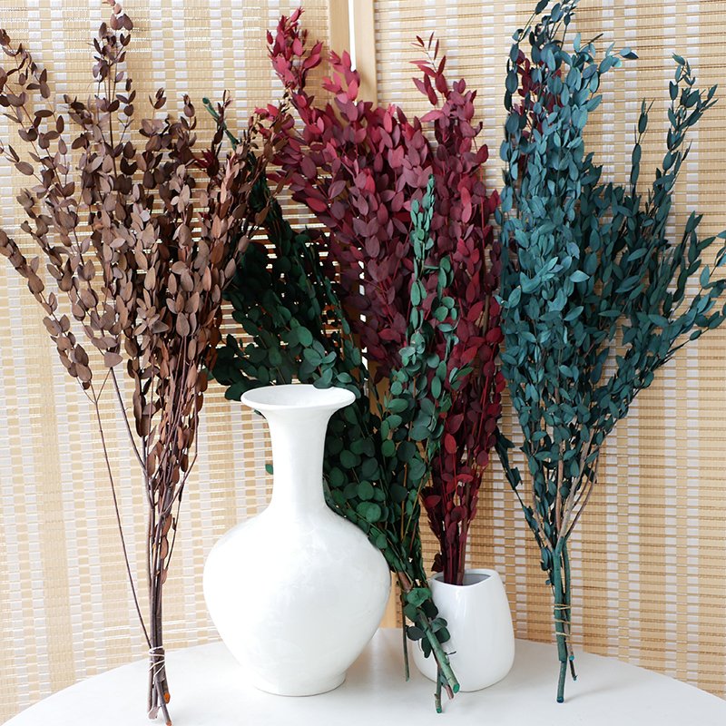 Preserved Thin Leaves Eucalyptus Customized Yunnan Wholesale Hot Sale High Quality Home Decor Preserved Parvifolia Eucalyptus