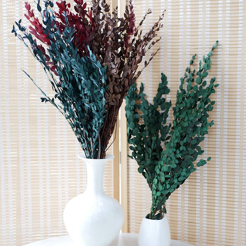 Preserved Thin Leaves Eucalyptus Customized Yunnan Wholesale Hot Sale High Quality Home Decor Preserved Parvifolia Eucalyptus