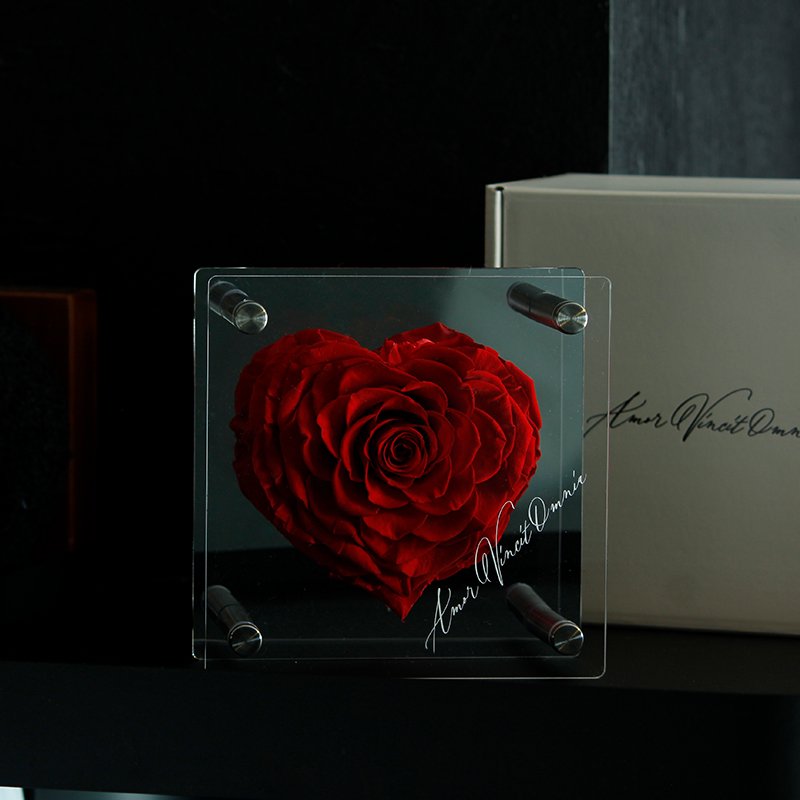 Lovebay Valentines Day Preserved Rose flores eternas al por mayor Eternal Flowers wholesale Heart Real Preserved Roses Acrylic