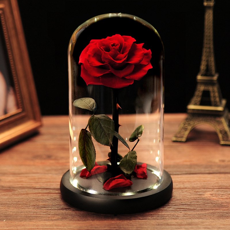 Every love preserved rose Real Touch Rosas Eternas Preservadas Forever Fresh Flower Eternal Preserved Rose in glass dome cloche