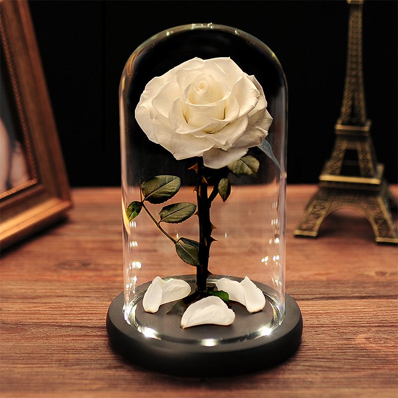 Every love preserved rose Real Touch Rosas Eternas Preservadas Forever Fresh Flower Eternal Preserved Rose in glass dome cloche