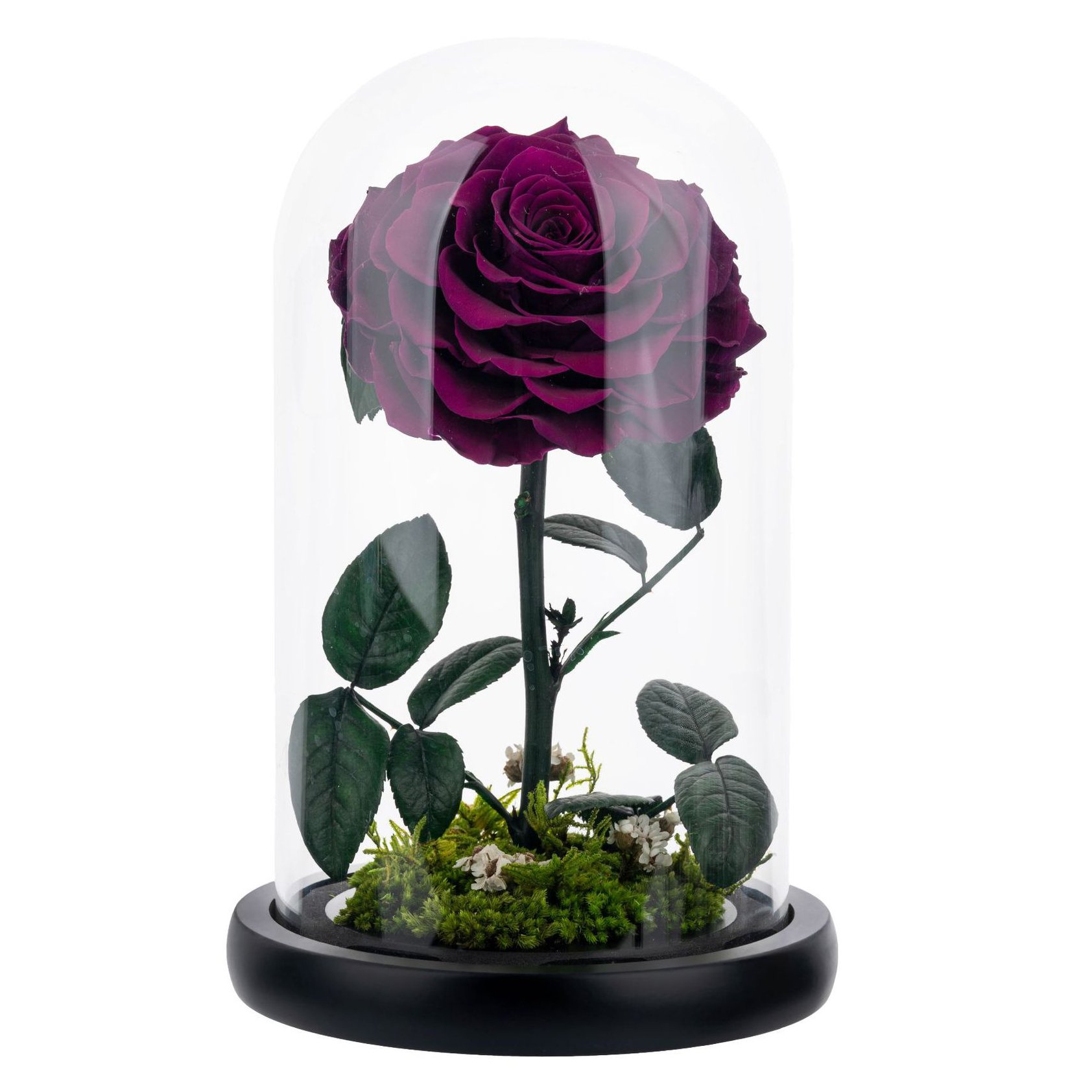 12X20 Eternal Rose Moss Long Stem Red Single Flowers Morthers Day Everlasting Preserved Flower Forever Roses In Glass Dome