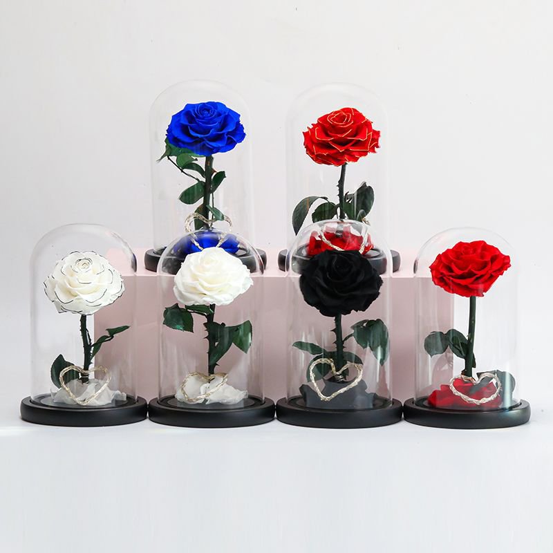 Roses wholesale beauty eternal preserved flower china wholesale eternal rose preserved flower gift preserved rose in glass dome