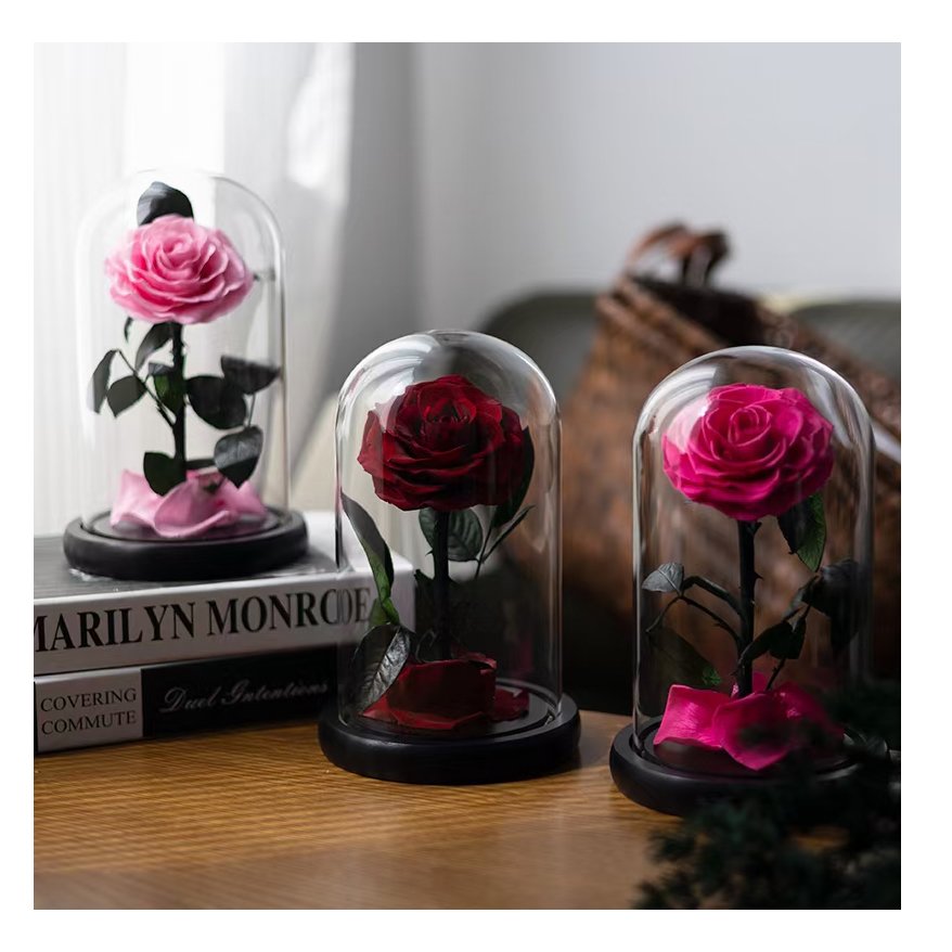 Roses wholesale beauty eternal preserved flower china wholesale eternal rose preserved flower gift preserved rose in glass dome
