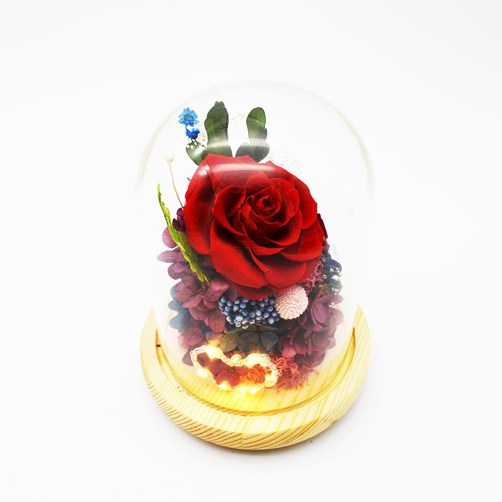 Wholesale Valentines Day Gifts Preserved Rose Flowers Everlasting Preserved Flower In Glass Dome