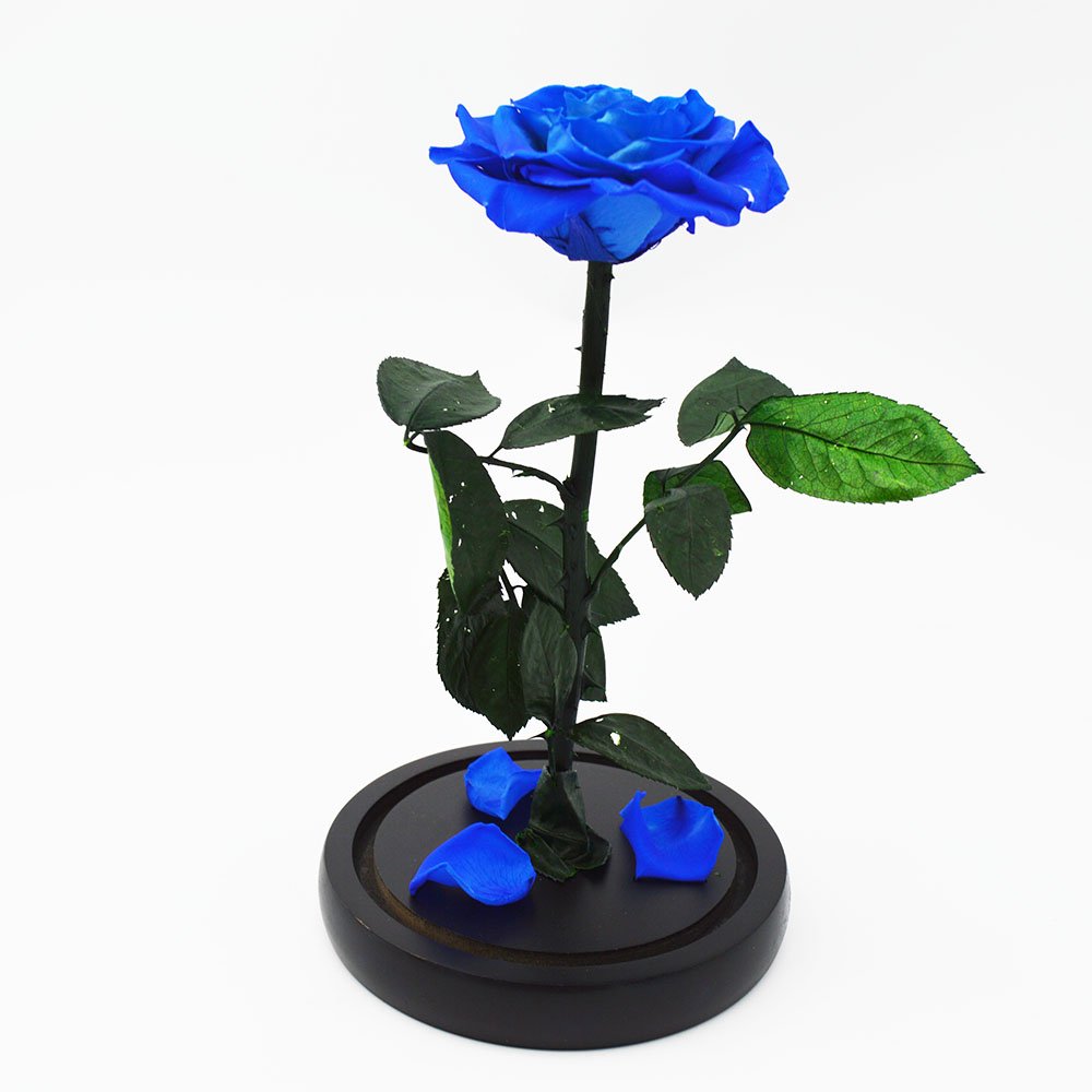 Wholesale Valentines Day Gifts Preserved Rose Flowers Everlasting Preserved Flower In Glass Dome