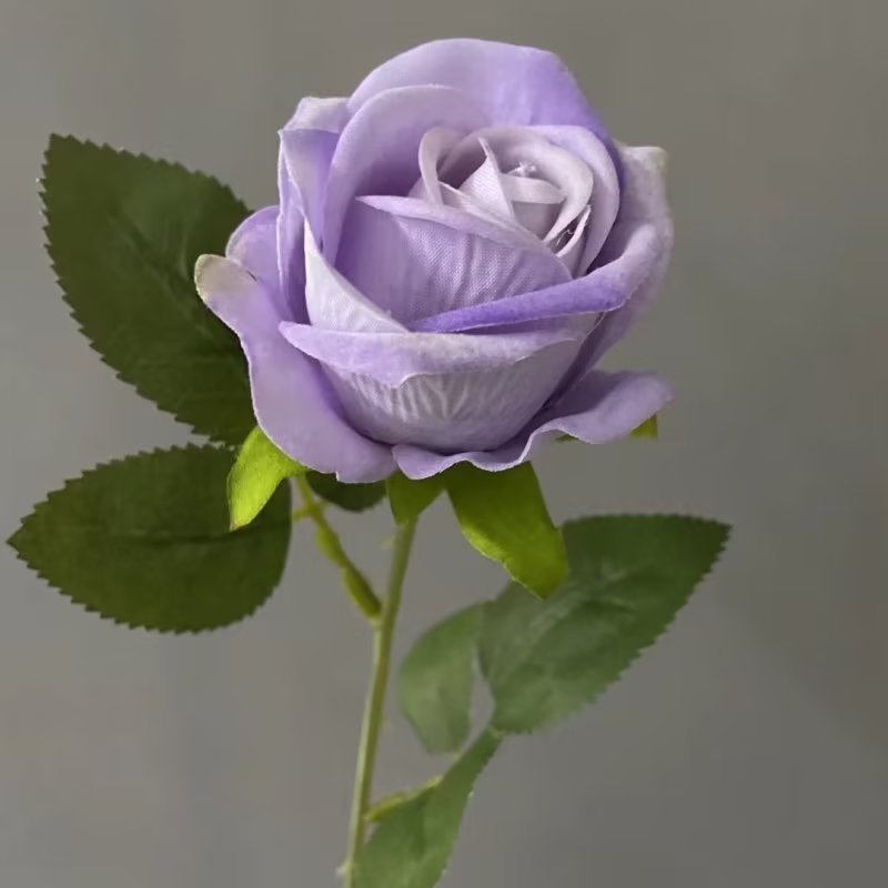 wholesale valentines day preserved single roses real touch15cm long stem preserved rose preserved rose