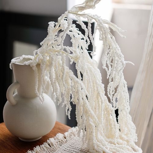D1-5pcs High Quality Natural Dried Amaranth Preserved Hanging Amaranthus Caudatus Lovers Tear Flowers For Wedding Decoration