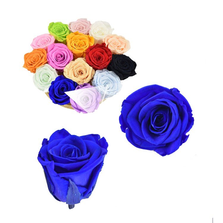 Factory Supply Wholesale 5-6 cm Long Lasting Forever Real Natural Rose Head DIY Eternal Immortal Preserved Flower Roses