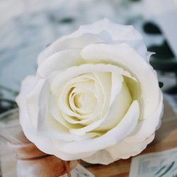 White