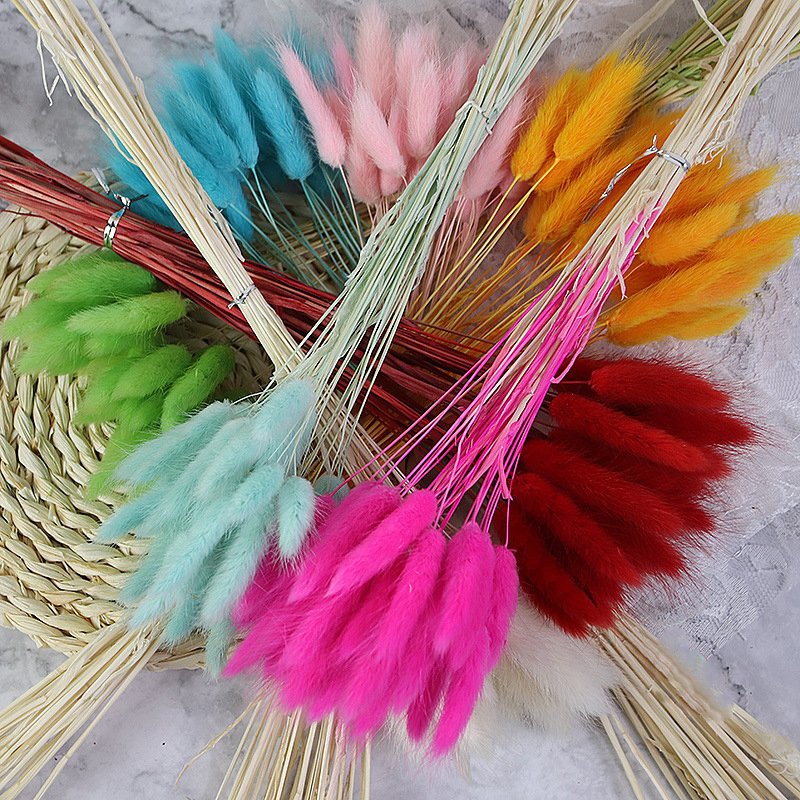 Elegant Wedding Decoration Bouquet Featuring Preserved Dried Lagurus Ovatus Flower Valentine's Day Back School Thanksgiving