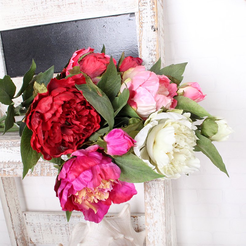 Wholesale Single Stem Fresh Cut Peony Flowers For Wedding Decoration
