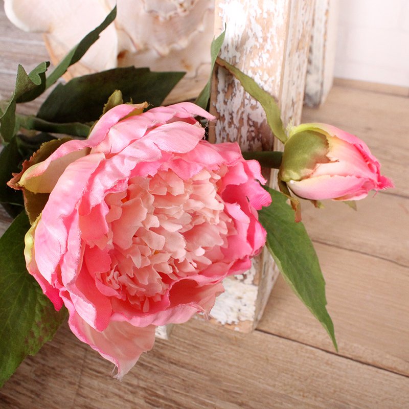Wholesale Single Stem Fresh Cut Peony Flowers For Wedding Decoration