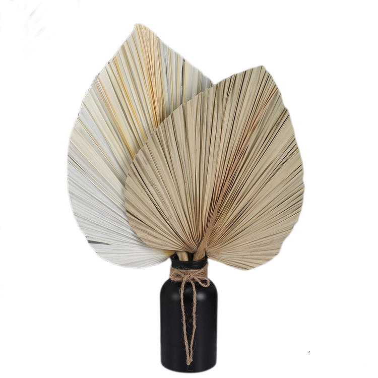 Wholesale Dried Flowers And Palm Leaves Ideal For Home And Wedding Decor Natural High-Quality Tropical Leaf Fans