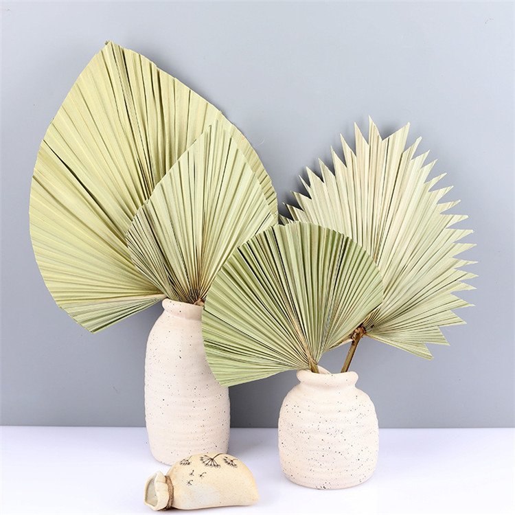 Wholesale Dried Flowers And Palm Leaves Ideal For Home And Wedding Decor Natural High-Quality Tropical Leaf Fans