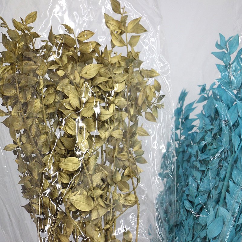 factory wholesale natural dried flowers preserved ruscus