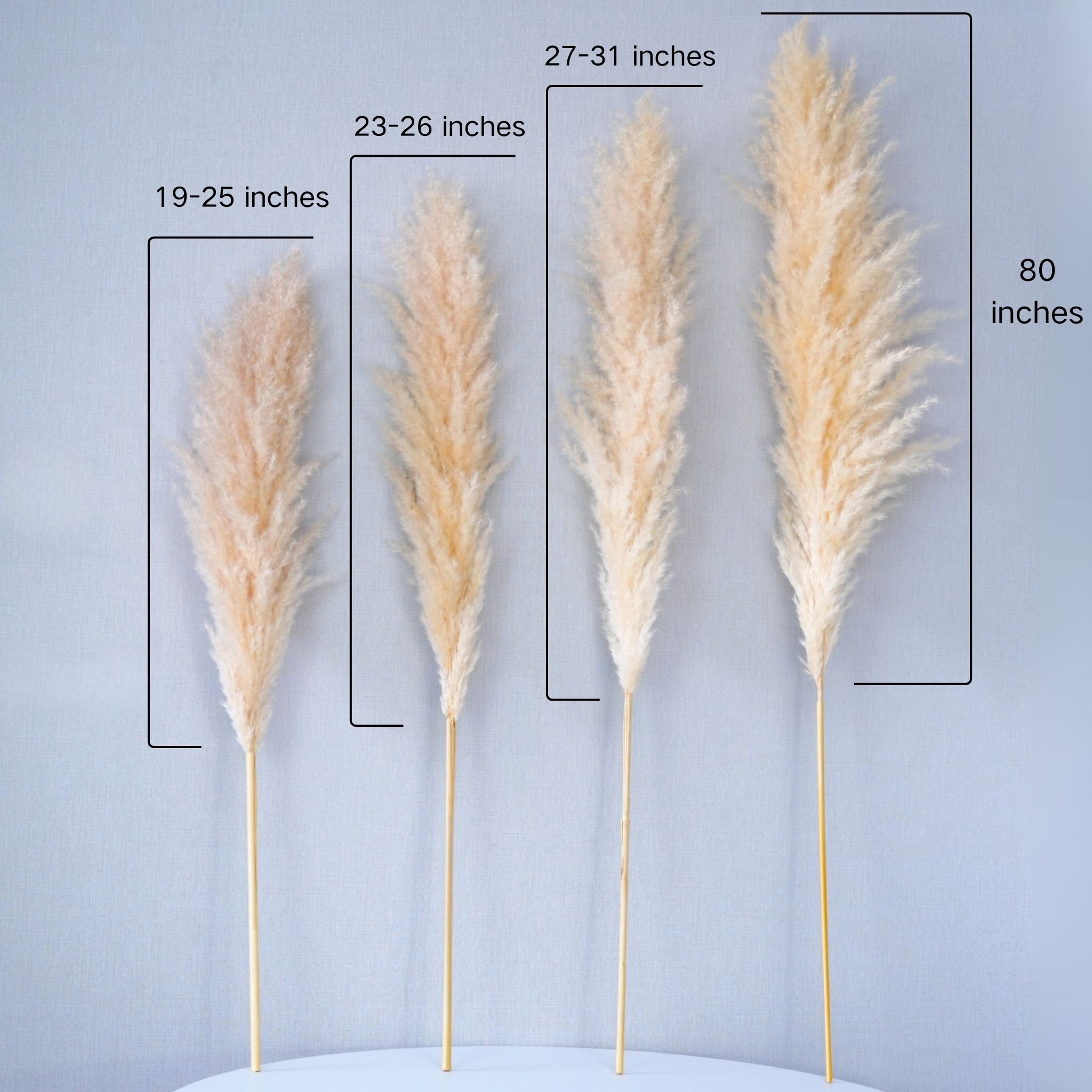 Free Samples Natural Dried Flowers Huge Pampas Reeds Bohemian Pampas Dried Flowers Wedding Decoration Dried Flower Pampas