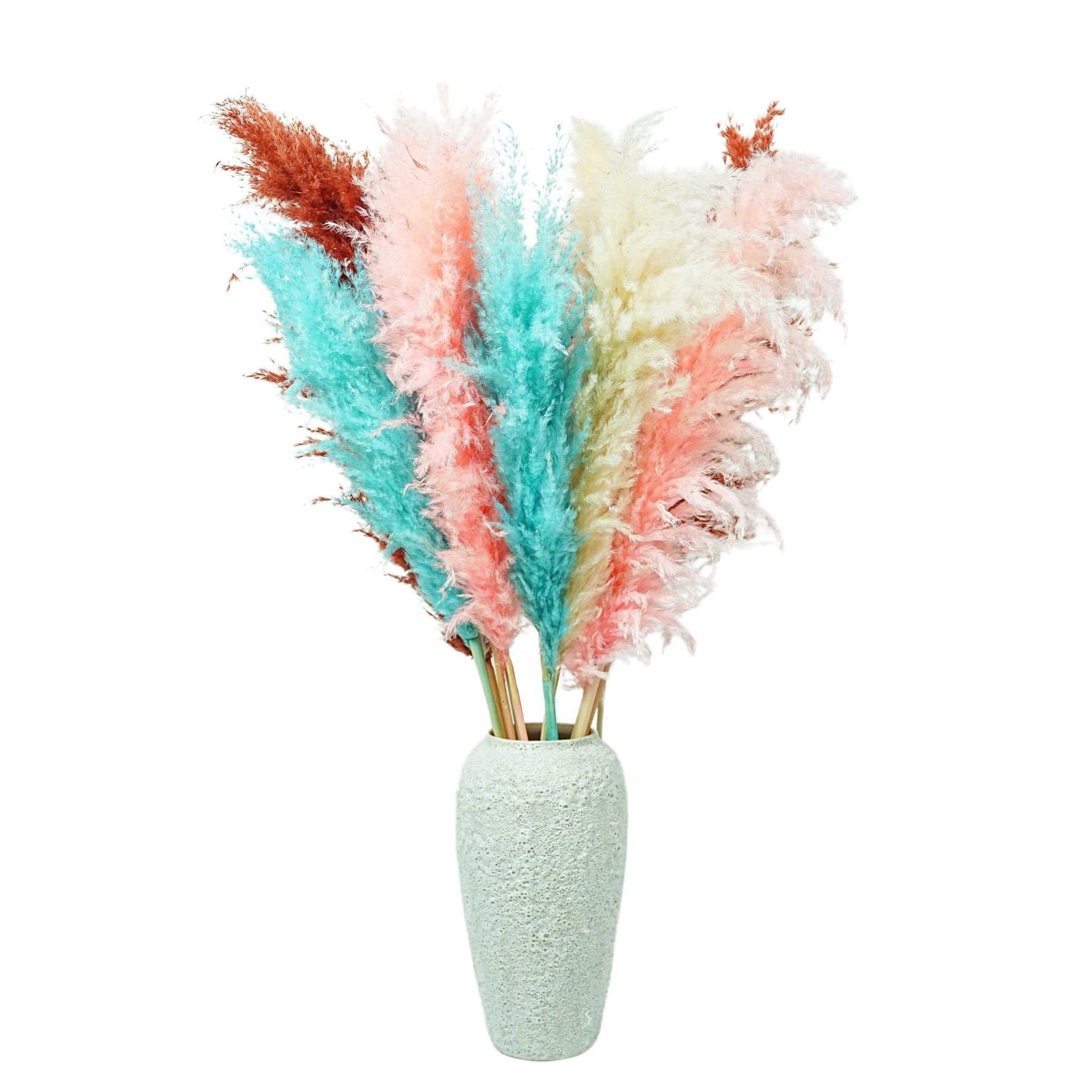 Free Samples Natural Dried Flowers Huge Pampas Reeds Bohemian Pampas Dried Flowers Wedding Decoration Dried Flower Pampas