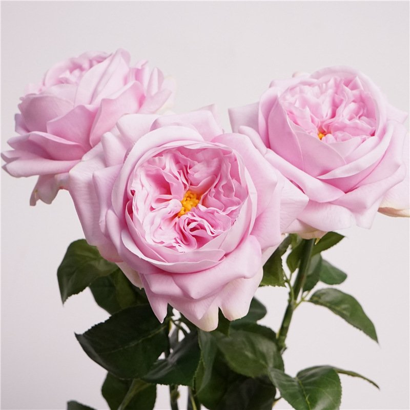 2024 New Juliet Real Touch Rose Flower Artificial Hot Pink Roses for Flower Arrangement Decor Latex Rose Stems