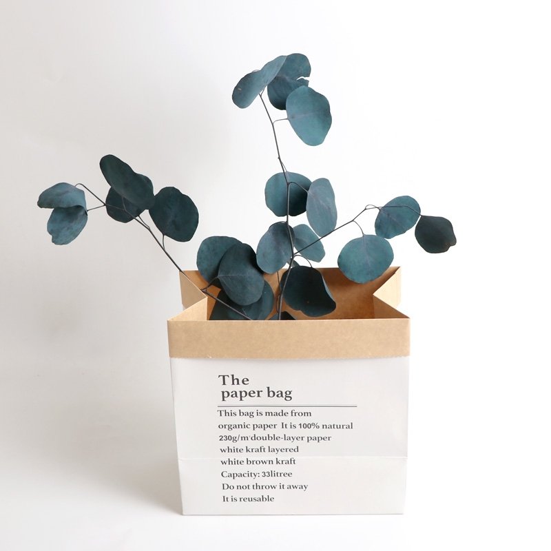 SumFlora Nordic style natural flowers preserved flower eucalyptus round leaf Apple leaf for decoration