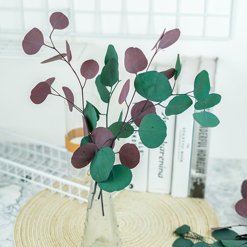 SumFlora Nordic style natural flowers preserved flower eucalyptus round leaf Apple leaf for decoration