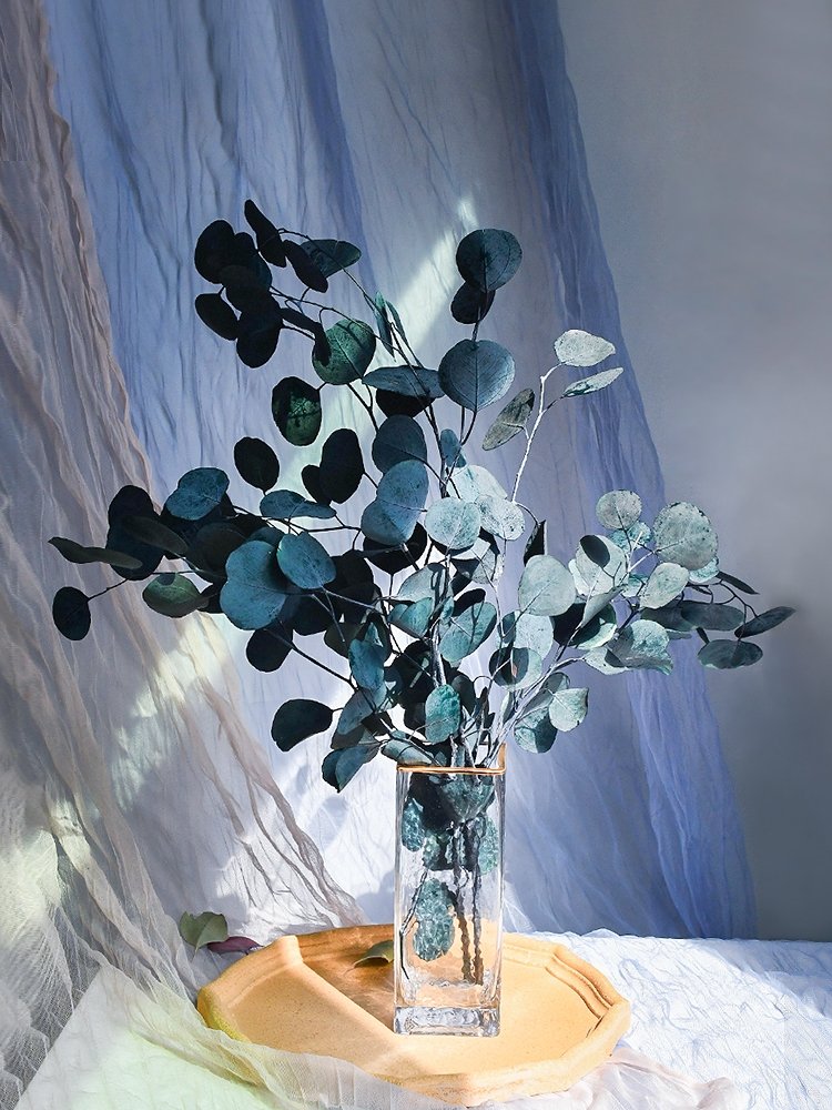 SumFlora Nordic style natural flowers preserved flower eucalyptus round leaf Apple leaf for decoration