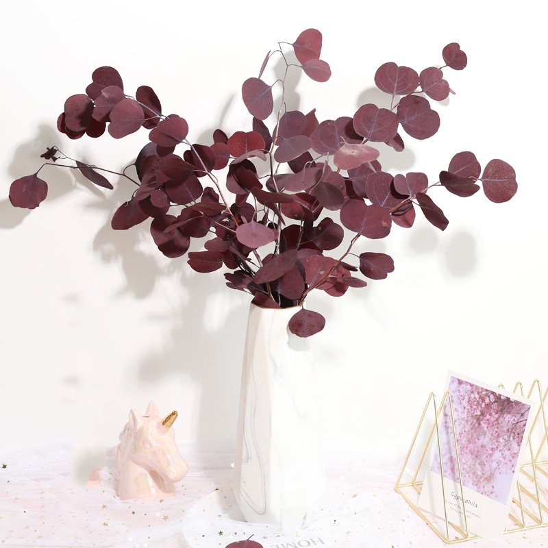 SumFlora Nordic style natural flowers preserved flower eucalyptus round leaf Apple leaf for decoration