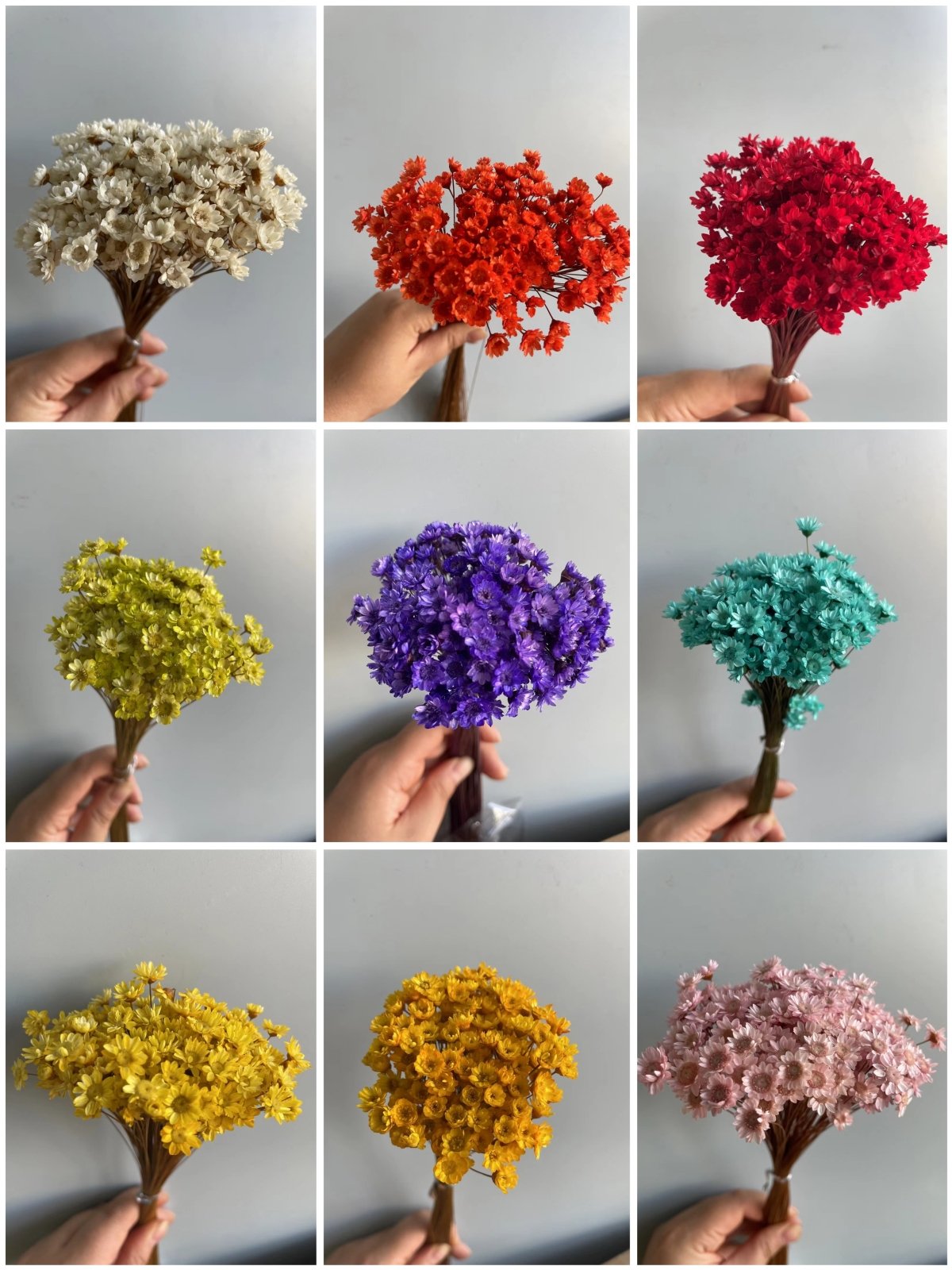 Decorative Dried flowers Mini Daisy Chamomile Bouquet 50 stems Lotus color Natural Dry Flowers Brazilian Small Star Daisy