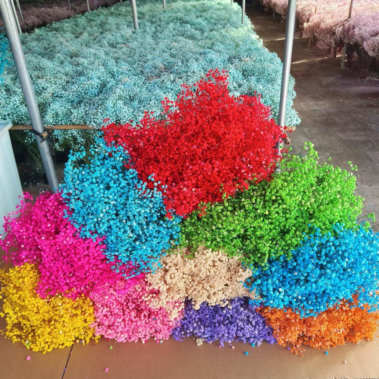 High Quality Low Price Gypsophila Dried Flowers Baby Breath Garland Baby Breathe Flower For Wedding Wall Backdrop