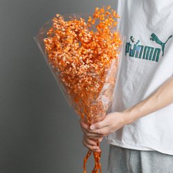 Orange-1