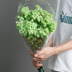 Green-1