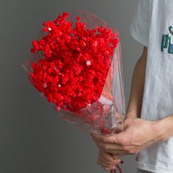 Red-1