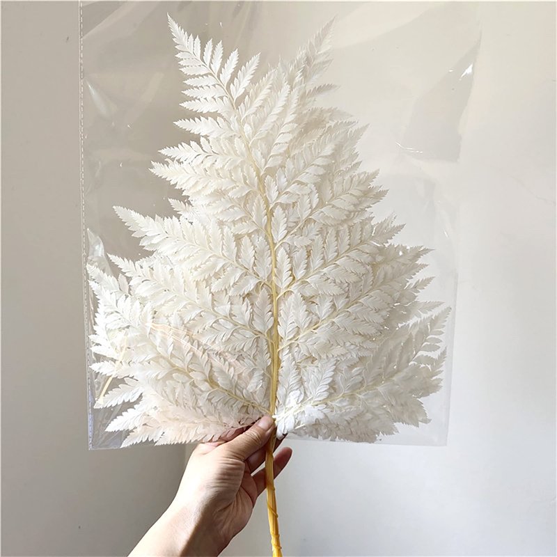 Mountain Ferns Wedding Garlands Home Decorations Bouquets Fern Leaves Arachniodes Alpine Artificial Plant Preserved Leather Fern
