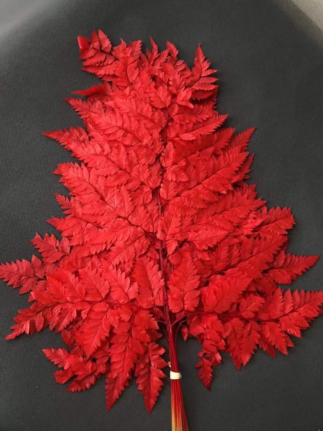 Mountain Ferns Wedding Garlands Home Decorations Bouquets Fern Leaves Arachniodes Alpine Artificial Plant Preserved Leather Fern