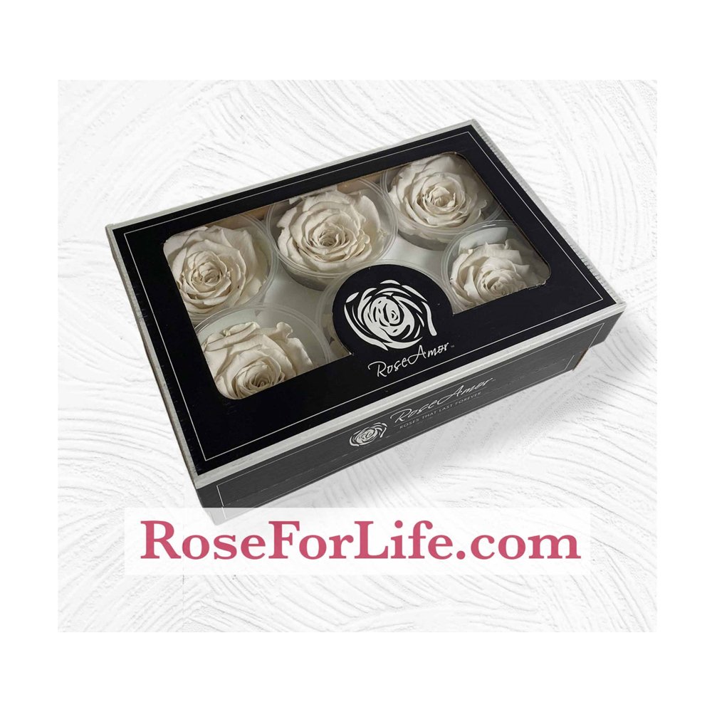 Luxury Stabilized White Roses Beautiful Natural Rose Set For Wedding Decoration