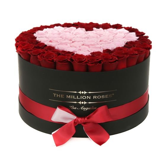 Luxury Ecuadorian Roses Real Fresh Everlasting Rose Preserved Flower