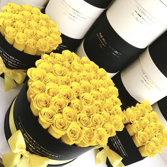Luxury Ecuadorian Roses Real Fresh Everlasting Rose Preserved Flower