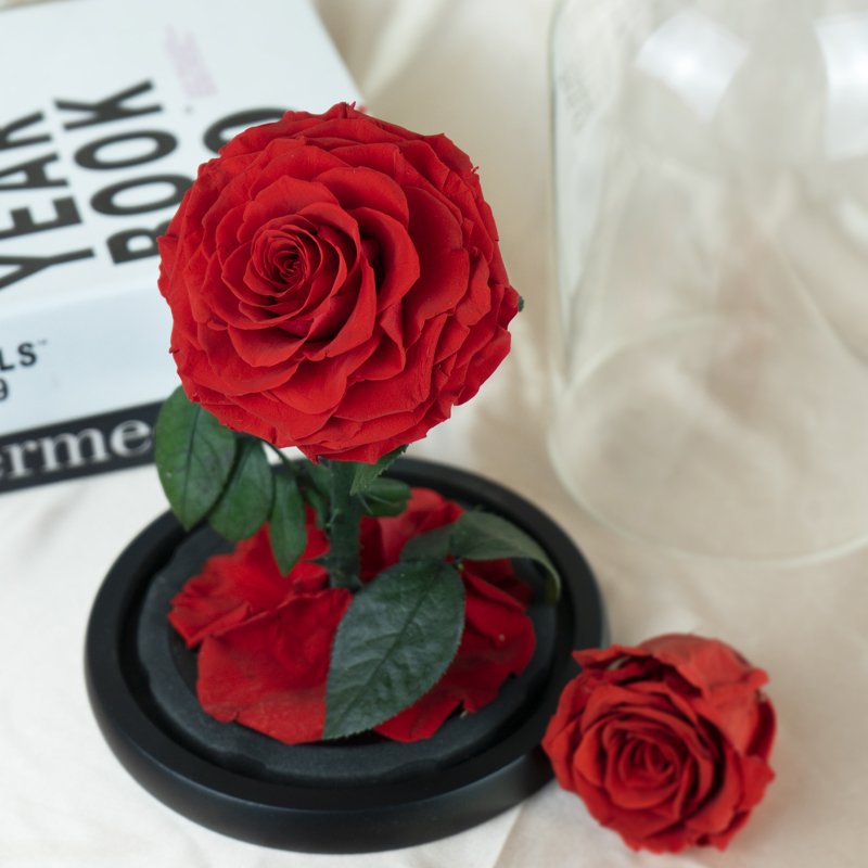 Hot Selling Wholesale Hand Made Forever blue Rose Real Eternal Preserved Rose In Glass Dome gift box