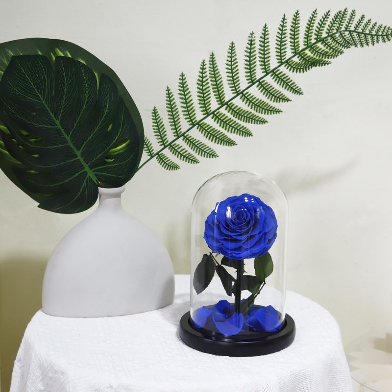 Hot Selling Wholesale Hand Made Forever blue Rose Real Eternal Preserved Rose In Glass Dome gift box