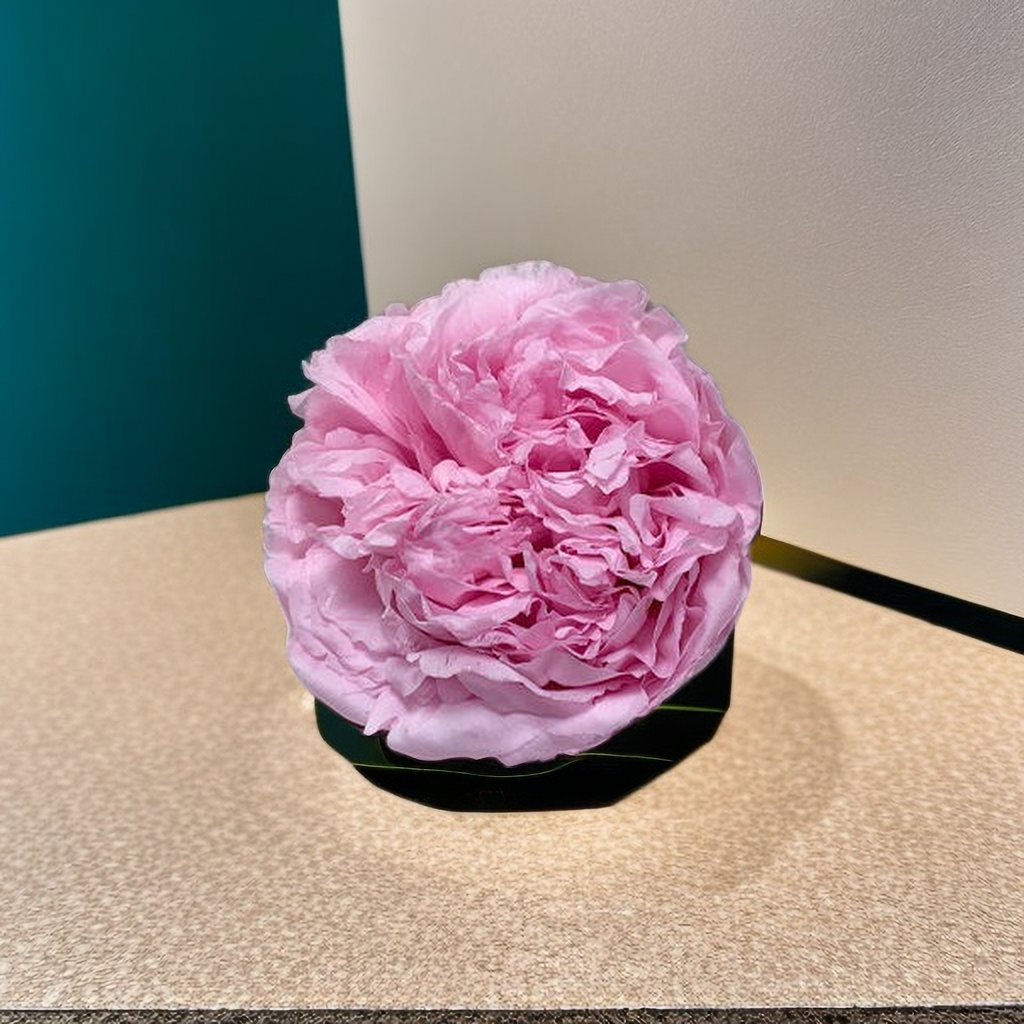 2023 New Product Preserved Flower Asia Peony Eternal Flower Head Everlasting Peony For Gift Box DIY Bouquet