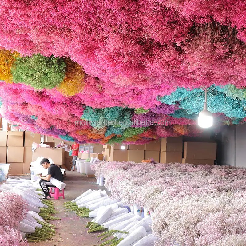 120g Preserved Pink Natural Gypsophila Dried Flowers Branches Babys Breath Bouquet Flowers