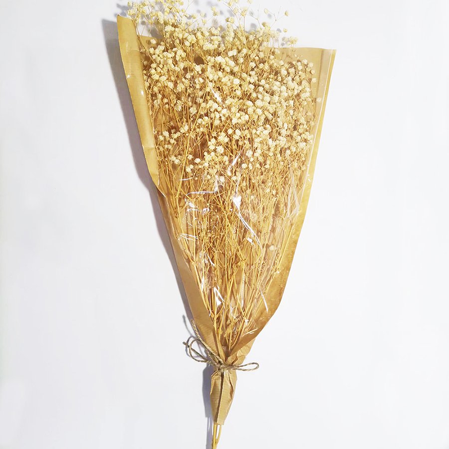 Preserved Flower