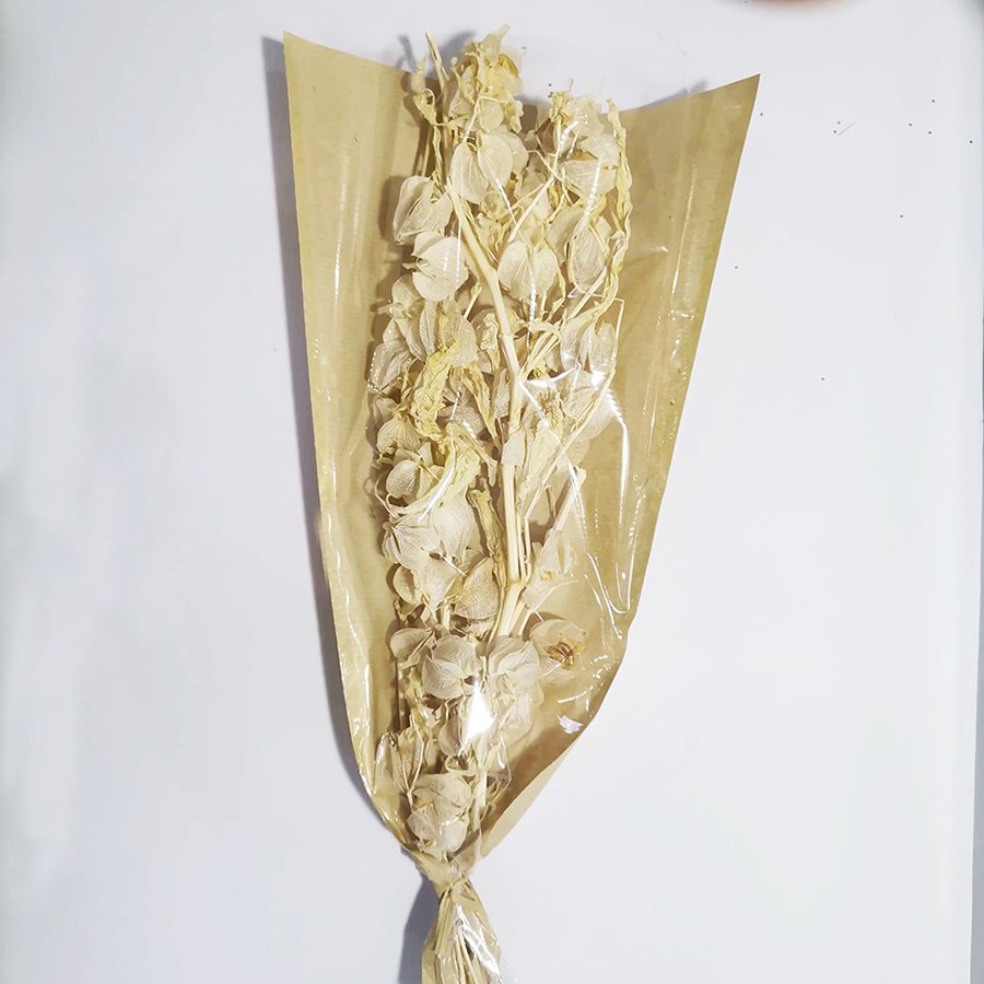 Preserved Flower