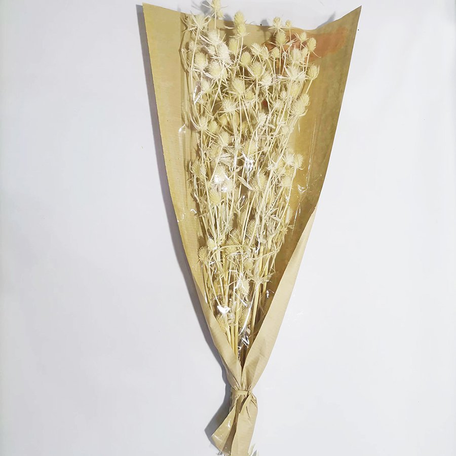Preserved Flower