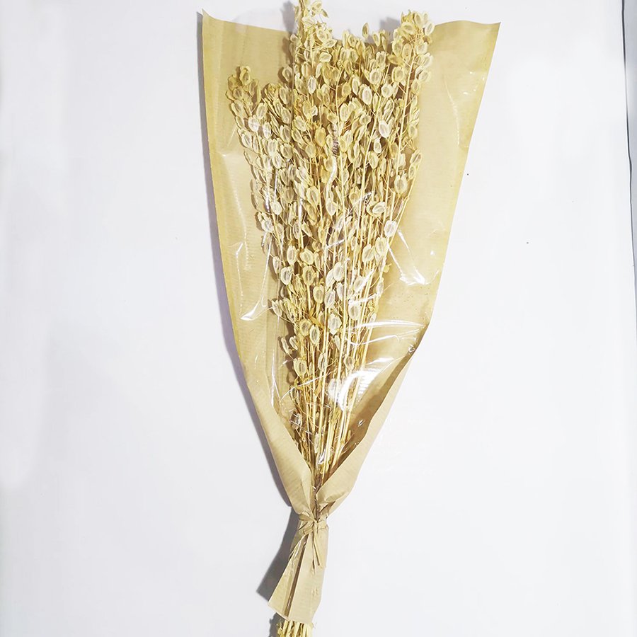 Preserved Flower