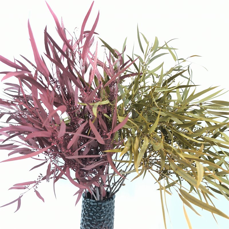 florist supplies dry flower plants real eternal preserved fresh flower eucalyptus preserved for home events wedding decor