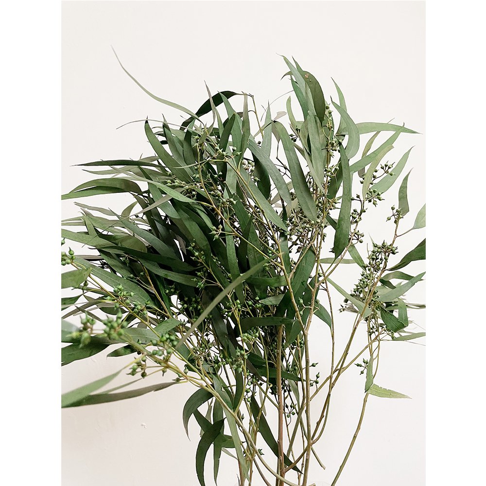 florist supplies dry flower plants real eternal preserved fresh flower eucalyptus preserved for home events wedding decor