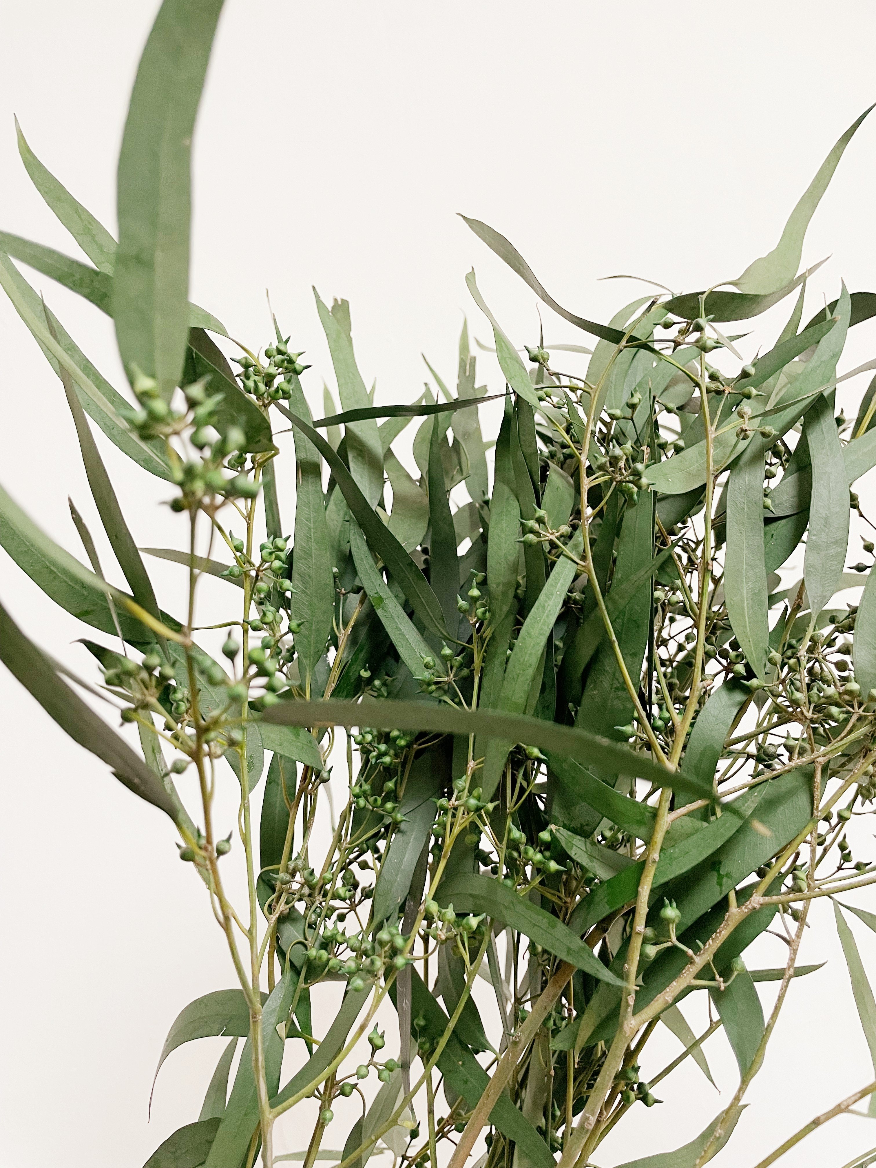 florist supplies dry flower plants real eternal preserved fresh flower eucalyptus preserved for home events wedding decor